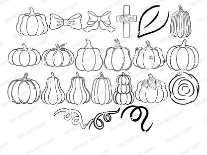 Pumpkin Procreate Stamp Set, Fall Clipart, Coquette Bows, Autumn Gourds